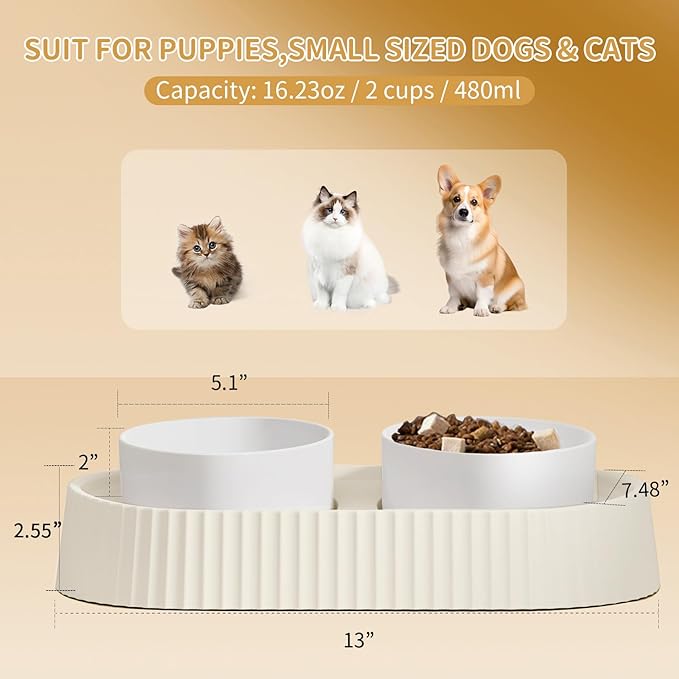 Ceramic Tilted Dog Bowl