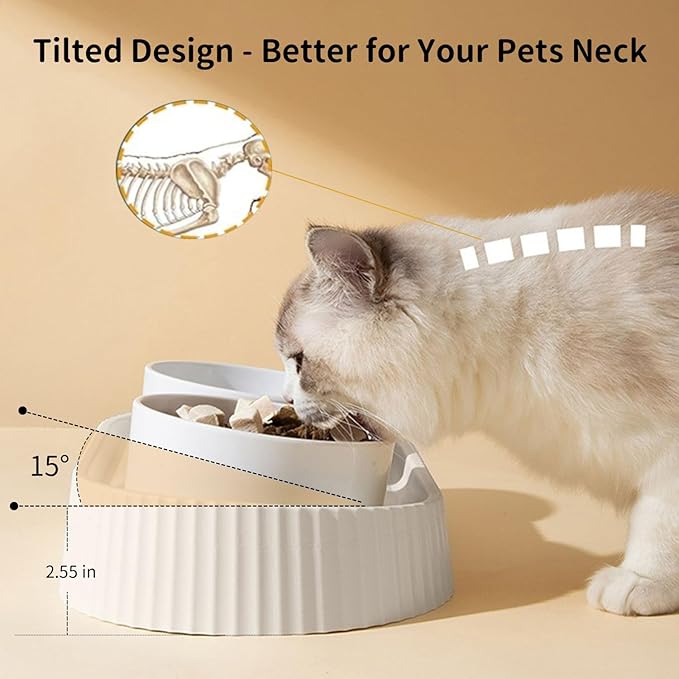 Ceramic Tilted Dog Bowl