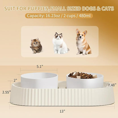 Ceramic Tilted Dog Bowl