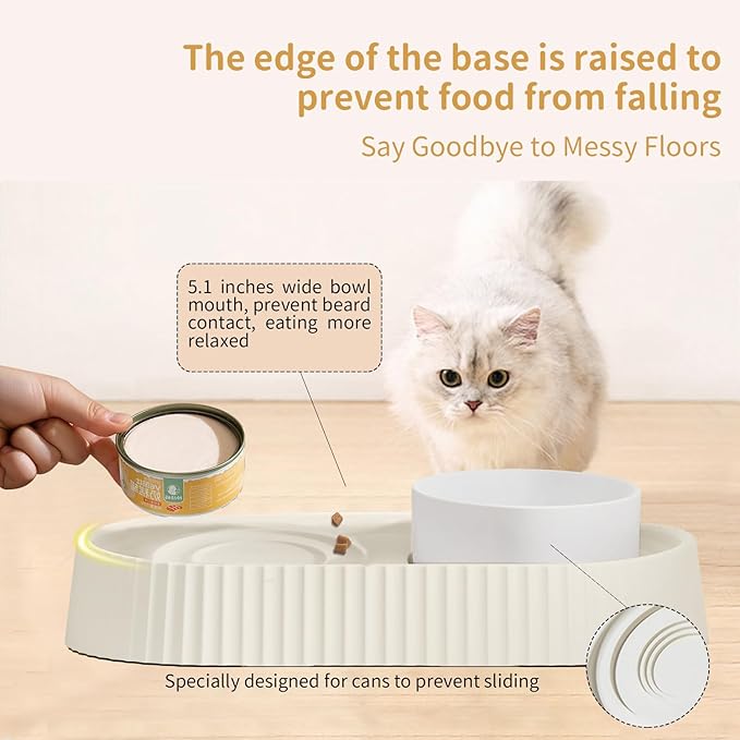 Ceramic Tilted Dog Bowl
